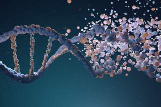 Top Advances in CRISPR and Gene Editing